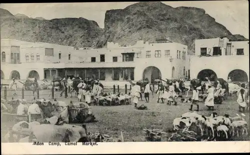 Ak Aden Jemen, Camel Market
