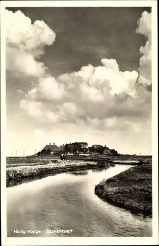 Ak Hallig Hooge in Nordfriesland, Backenswarf