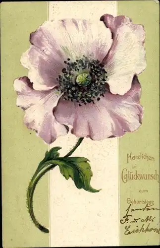 Präge Litho Glückwunsch Geburtstag, Lila Mohnblüte