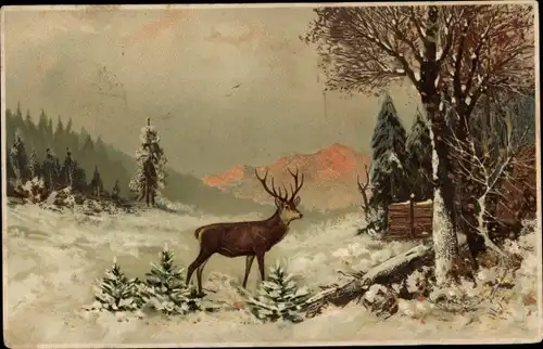 Ak Winterszene, Hirsch, Kleine Tannenbäume