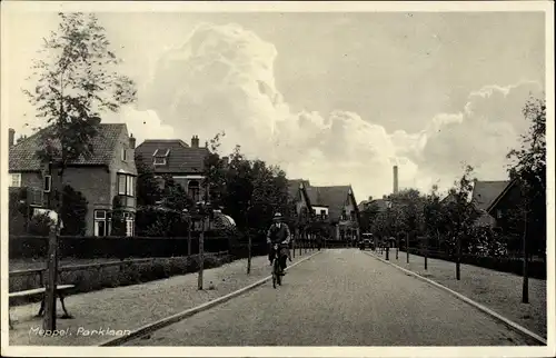 Ak Meppel Drenthe Niederlande, Parklaan