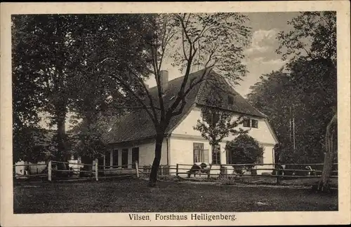 Ak Heiligenberg Bruchhausen Vilsen Niedersachsen, Forsthaus