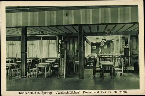 Ak Drübber Holz Eystrup in Niedersachsen, Waldschlösschen