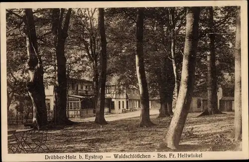 Ak Eystrup Drübber Holz Niedersachsen, Waldschlößchen, Bes. Fr. Hellwinkel