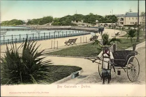 Ak Durban Südafrika, Bay Esplanade, Rikscha