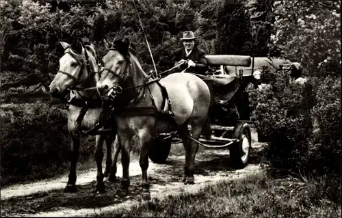 Ak Volkwardingen Bispingen in der Lüneburger Heide, Kutschwagenfahrt, Pferdegespann, Ernst Ripke