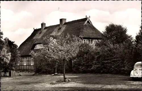 Ak Schneverdingen in der Lüneburger Heide, Schäferhof