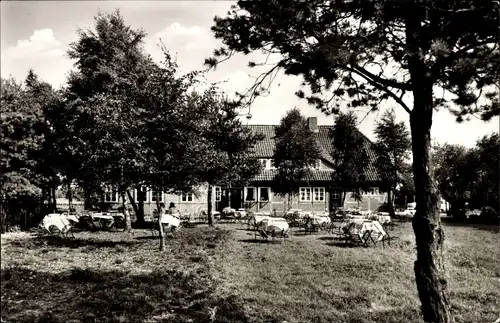 Ak Schneverdingen in der Lüneburger Heide, Schäferhof, Terrasse