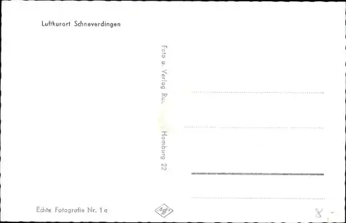 Ak Schneverdingen in der Lüneburger Heide, Feriendorf, alte Wacholder, Schäferhof