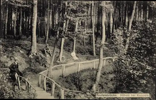 Ak Hüholz Kappeln an der Schlei, Teufelsbrücke, Wald