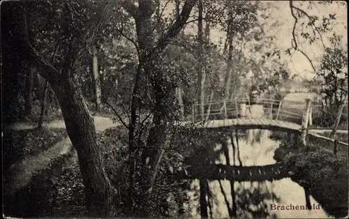 Ak Brachenfeld Ruthenberg Neumünster in Holstein, Waldpartie, Brücke