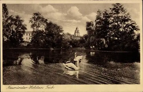 Ak Neumünster in Holstein, Teich