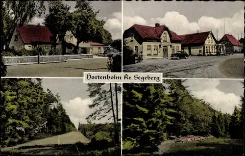 Ak Hartenholm Schleswig Holstein, Gasthof, Dorfpartie, Wald