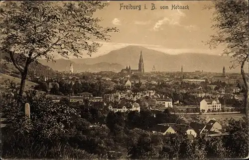 Ak Freiburg im Breisgau, Blick vom Hebsack