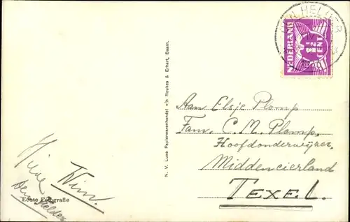 Ak Hundeportrait, Hund mit langem Fell