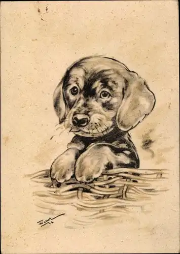 Künstler Ak Kleiner Hund, Hundewelpe