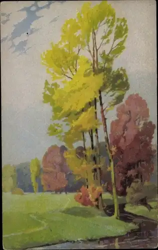 Ak Landschaftsmotiv, Bäume, Meissner & Buch 2488