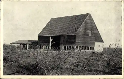 Ak Dreischor Zeeland, Een kostelijke boomgaard op Dreischor door de Stormramp 1953