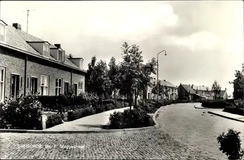 Ak Dreischor Zeeland, Mr. P. Moggestraat