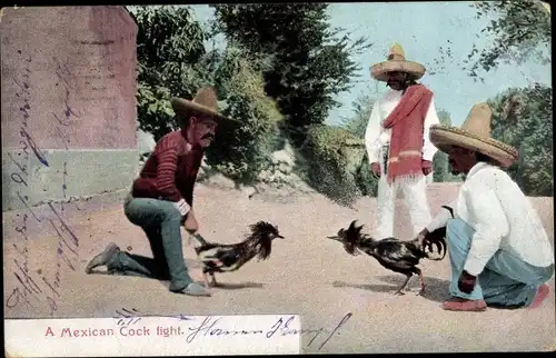 Ak A Mexican Cock fight, Mexikaner, Hahnenkampf