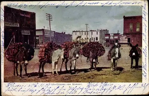 Ak USA, Loaded for Market, Lastenesel