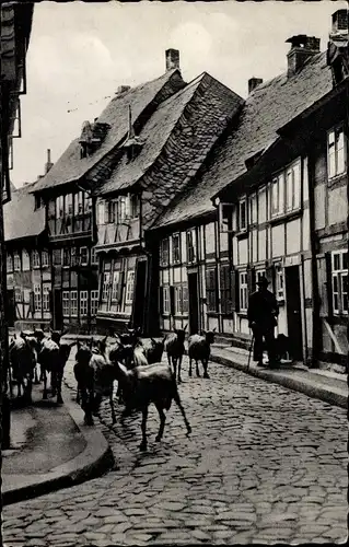 Ak Goslar am Harz, Die Peterstraße, Ziegen