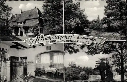 Ak Bispingen in der Lüneburger Heide, Wacholderhof, Außen- und Innenansicht
