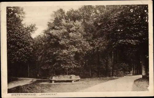 Ak Beetsterzwaag Friesland Niederlande, Driehoek