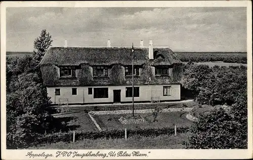 Ak Appelscha Fryslân Friesland, J. V. O. Jeugdherberg Us Blau Hiem