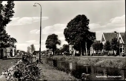 Ak Appelscha Fryslân Friesland, Dorpsgezicht