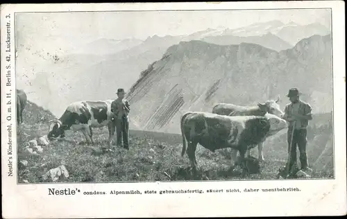 Ak Kühe auf der Alm im Gebirge, Nestlé's condens. Alpenmilch, Nestles Kindermehl Gmbh, Reklame