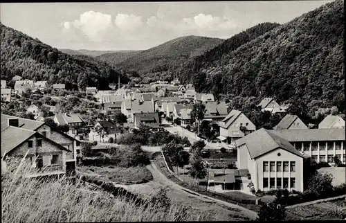 Ak Bad Lauterberg im Harz, Blick in die Wolfsgrube