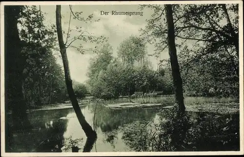 Ak Rhumspringe in Niedersachsen, Der Ruhmesprung, Ruhmequelle