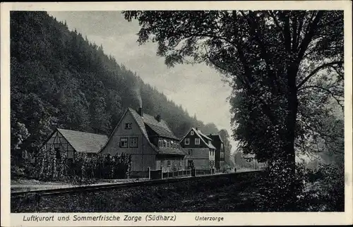 Ak Zorge Walkenried im Harz, Unterzorge, Wald