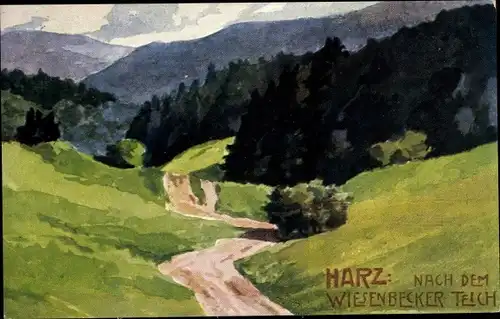 Künstler Ak Bad Lauterberg im Harz, nach dem Wiesenbecker Teich, Der Harz Nr. 164