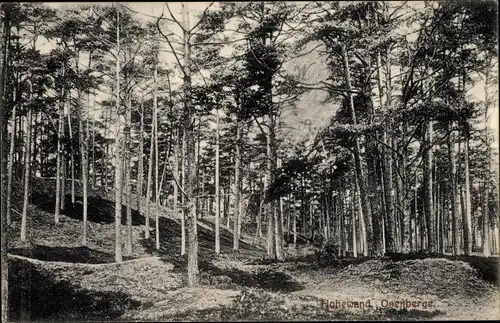 Ak Hatten in Oldenburg, Hohewand, Osenberge