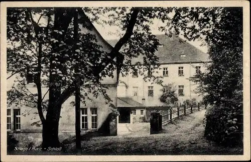 Ak Stiege Oberharz am Brocken, Partie am Schloss