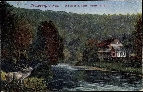 Ak Treseburg Thale im Harz, Hotel Weißer Hirsch, röhrender Hirsch, Rode