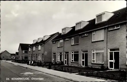 Ak Zuid Scharwoude Langedijk Nordholland Niederlande, Olmenlaan