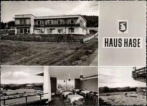 Ak Sankt Andreasberg Braunlage im Oberharz, Haus Hase