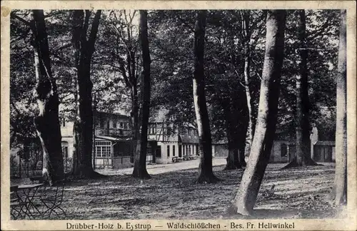 Ak Eystrup Drübber Holz Niedersachsen, Waldschlößchen