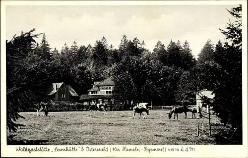 Ak Osterwald Salzhemmendorf, Waldgaststätte Sennhütte, Inhaber Aug. Voges, Wald