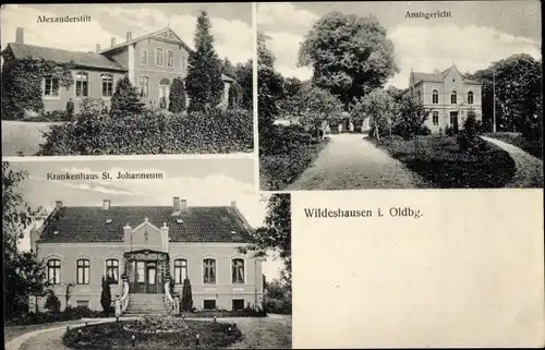 Ak Wildeshausen in Oldenburg, Alexanderstift, Amtsgericht, Krankenhaus St. Johanneum