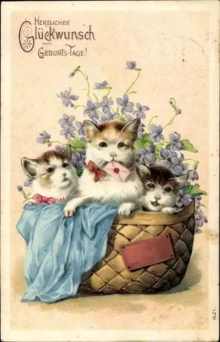 Präge Ak Glückwunsch Geburtstag, drei Katzen in einem Korb, Blumen, Veilchen