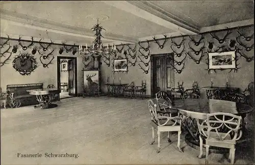 Ak Schwarzburg in Thüringen, Fasanerie, Geweihe