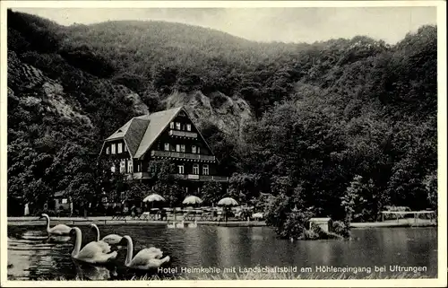 Ak Uftrungen Südharz, Hotel Heimkehle, Schwäne, Höhleneingang