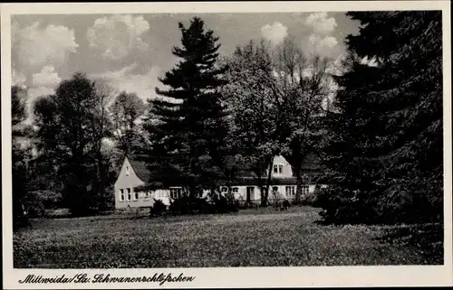 Ak Mittweida in Sachsen, Schwanenschlößchen