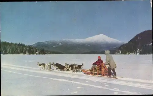 Ak Alaska, Husky Dog Team, Schlittenhunde