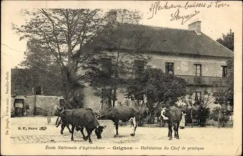 Ak Grignon Yvelines, Ecole Nationale d'Agriculture, Habitation du Chef de pratique