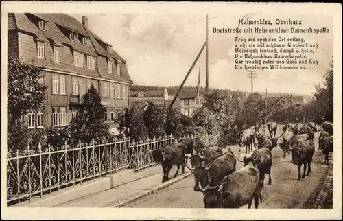 Ak Hahnenklee Bockswiese Goslar im Harz, Dorfstraße mit Hahnenkleer Damenkapelle, Kühe